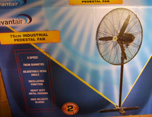 Fan