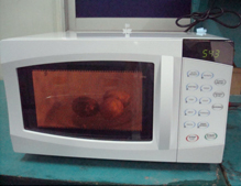 Microwave Oven1